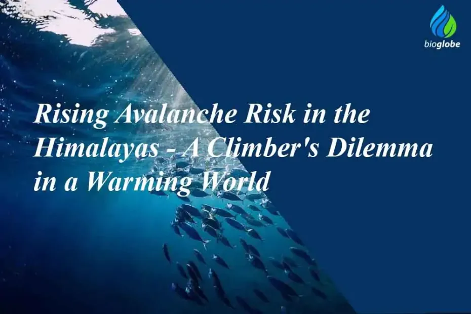 Rising Avalanche Risk in the Himalayas A Climbers Dilemma in a Warming World