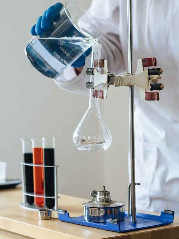 lab
