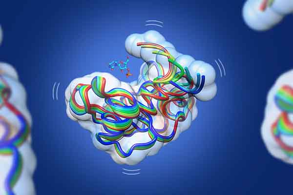 Enzyme 600x400 1